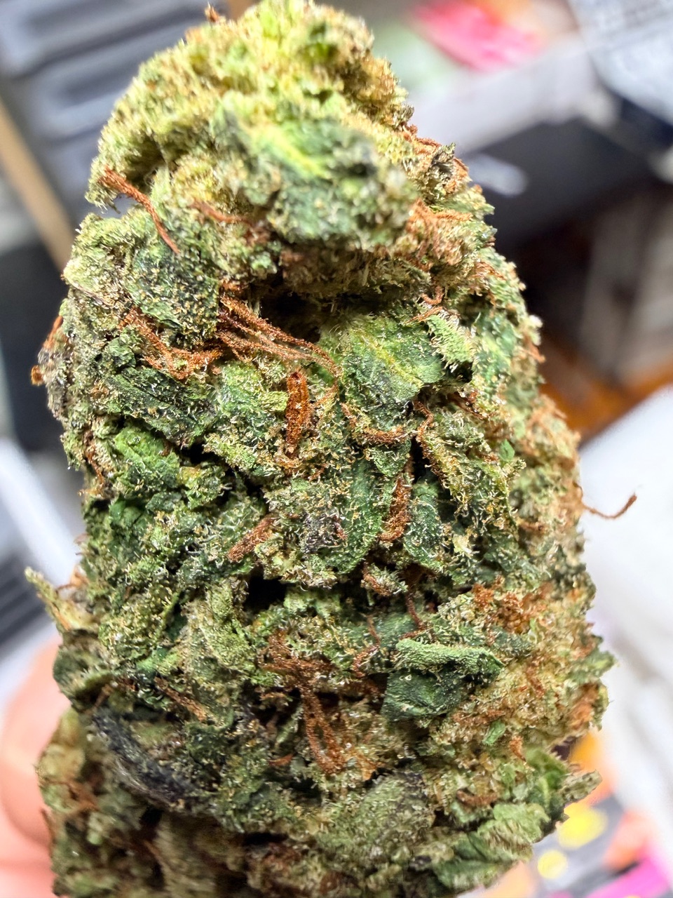 Violet Fog Digital Art