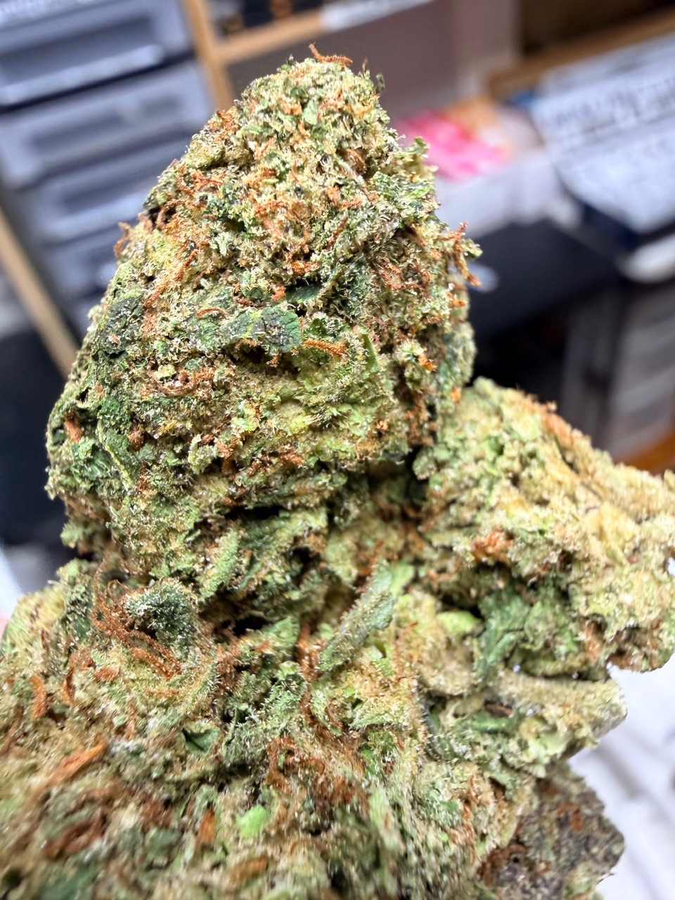 Violet Fog Digital Art - Image 3