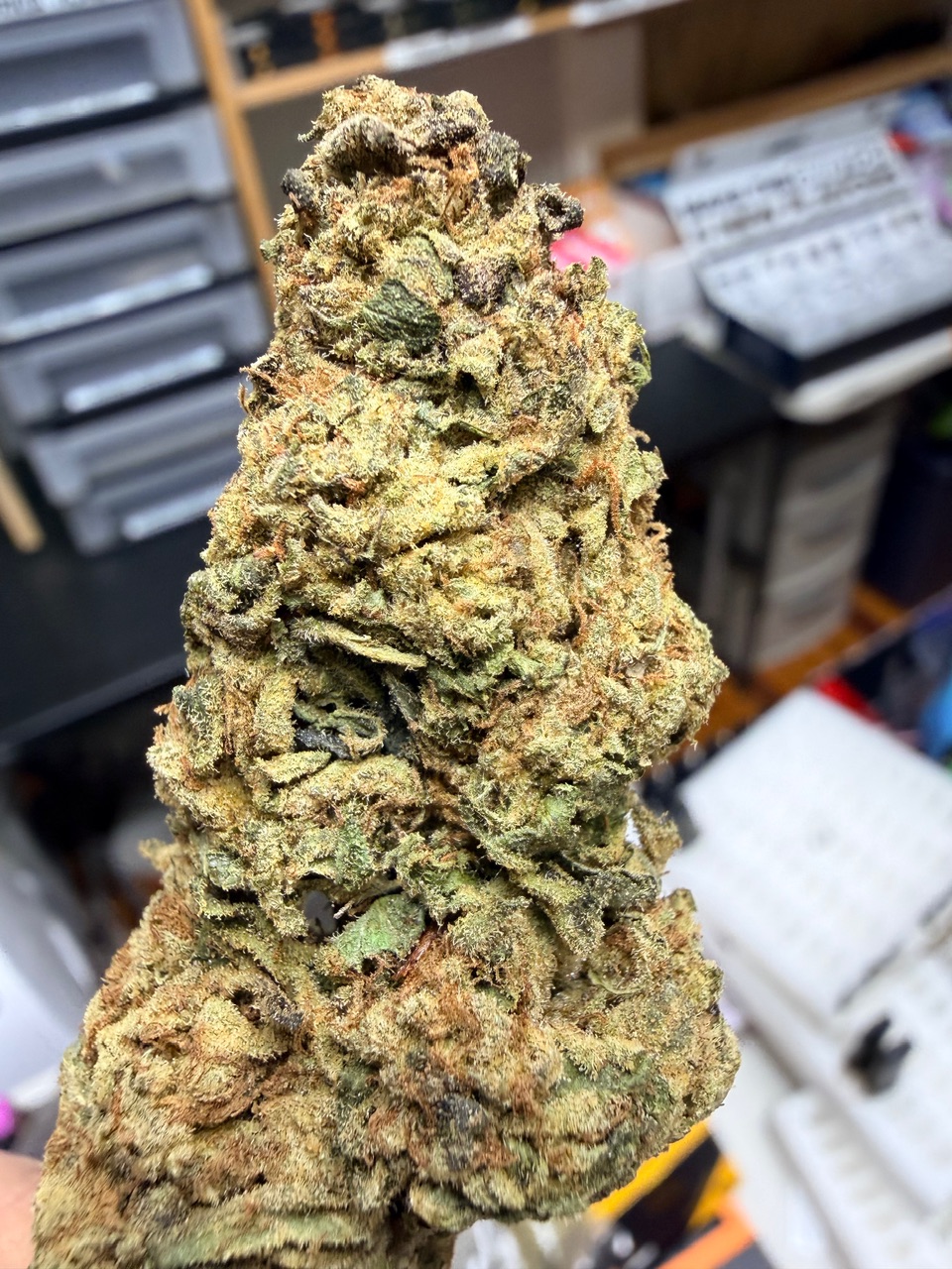 Olive Wagyu Digital Art - Image 2