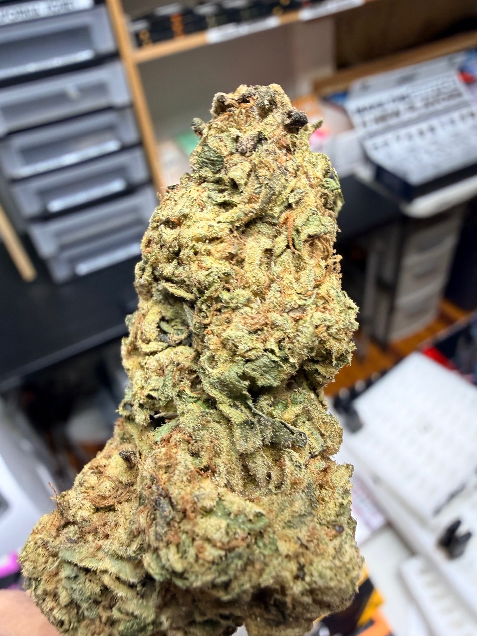 Olive Wagyu Digital Art - Image 3