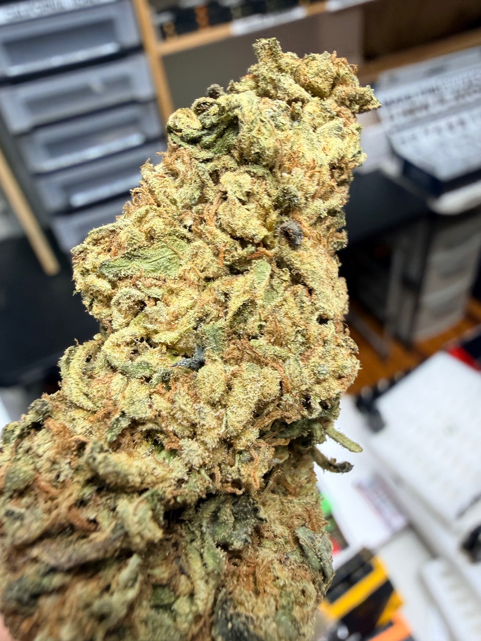 Olive Wagyu Digital Art