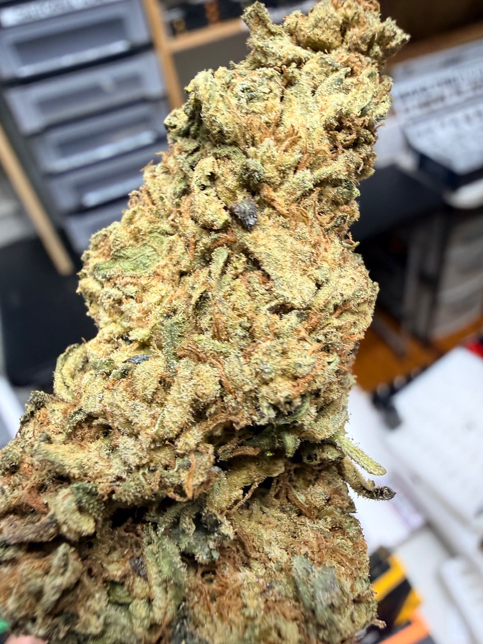 Olive Wagyu Digital Art - Image 4