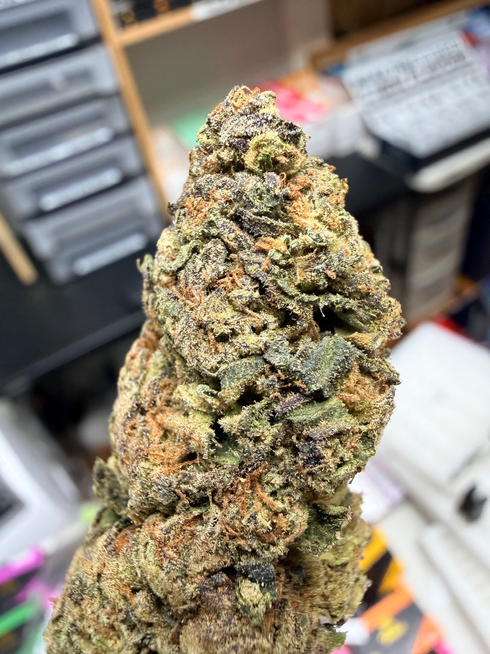 Olive Wagyu Digital Art - Image 8