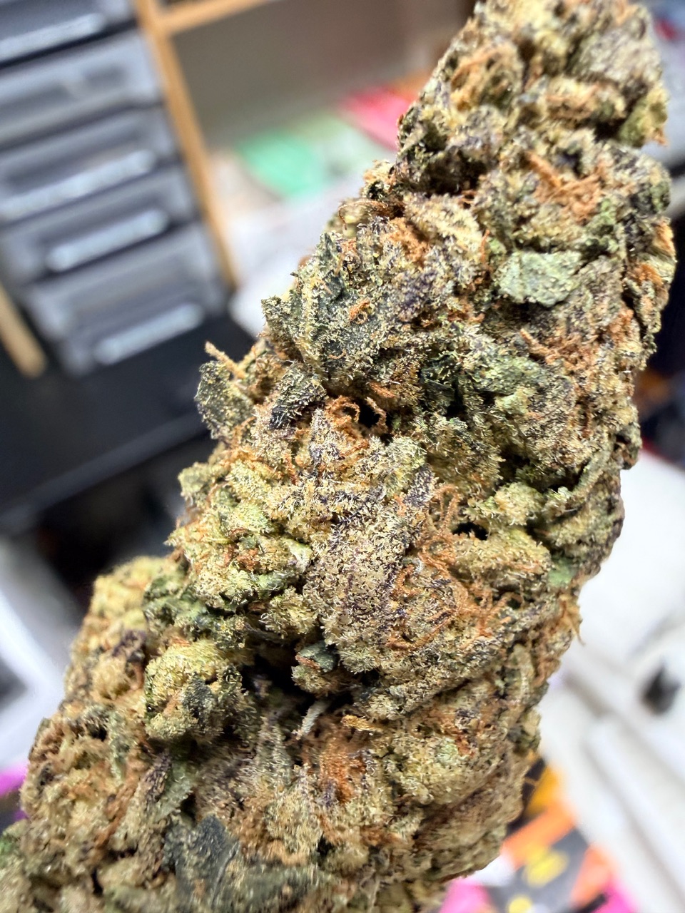 Olive Wagyu Digital Art - Image 7