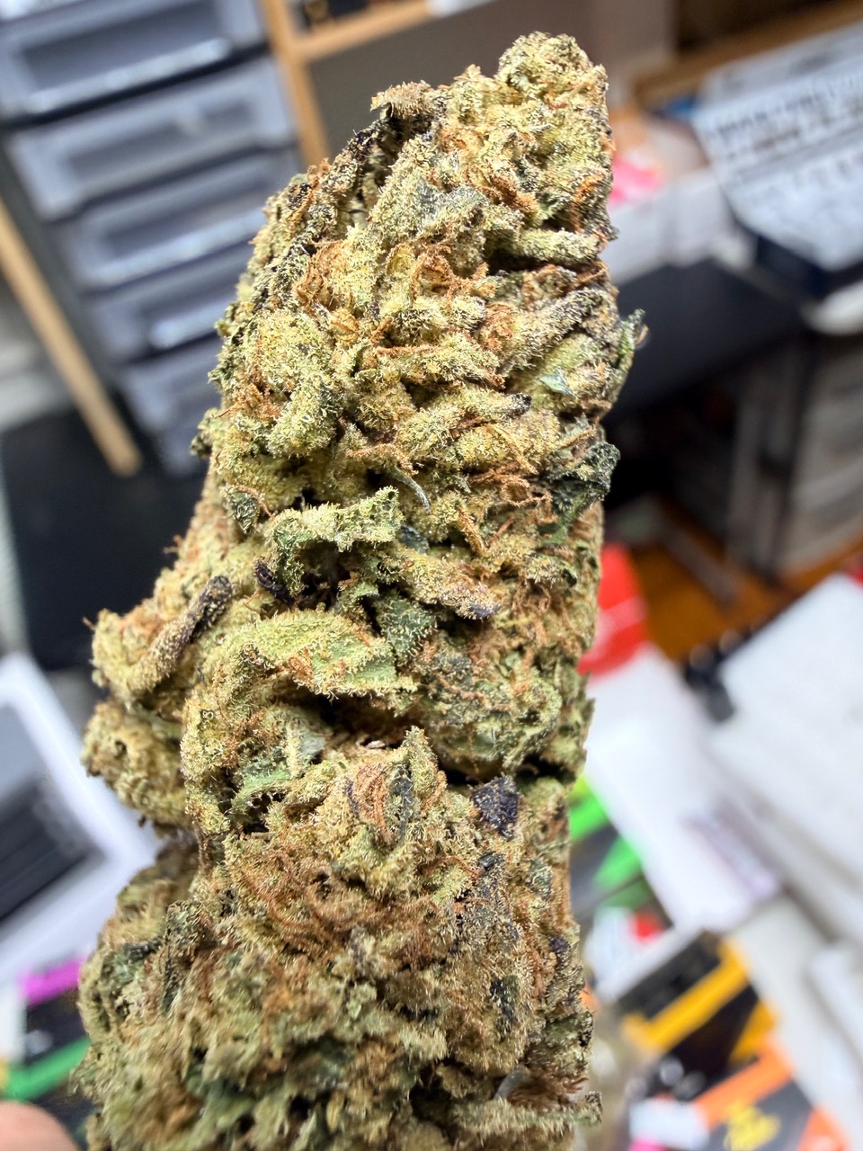 Olive Wagyu Digital Art - Image 6