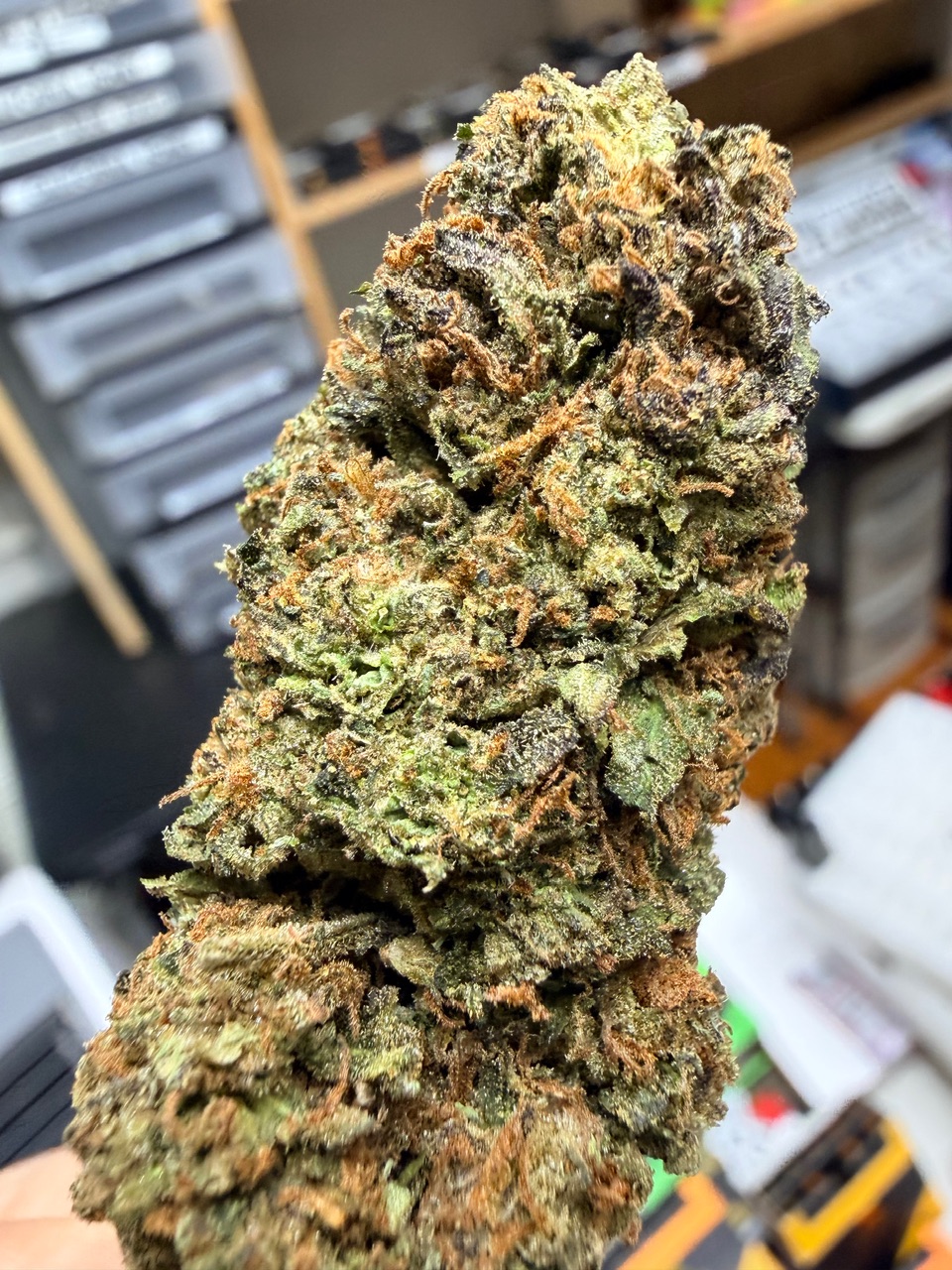 Marilyn Monroe Digital Art - Image 9