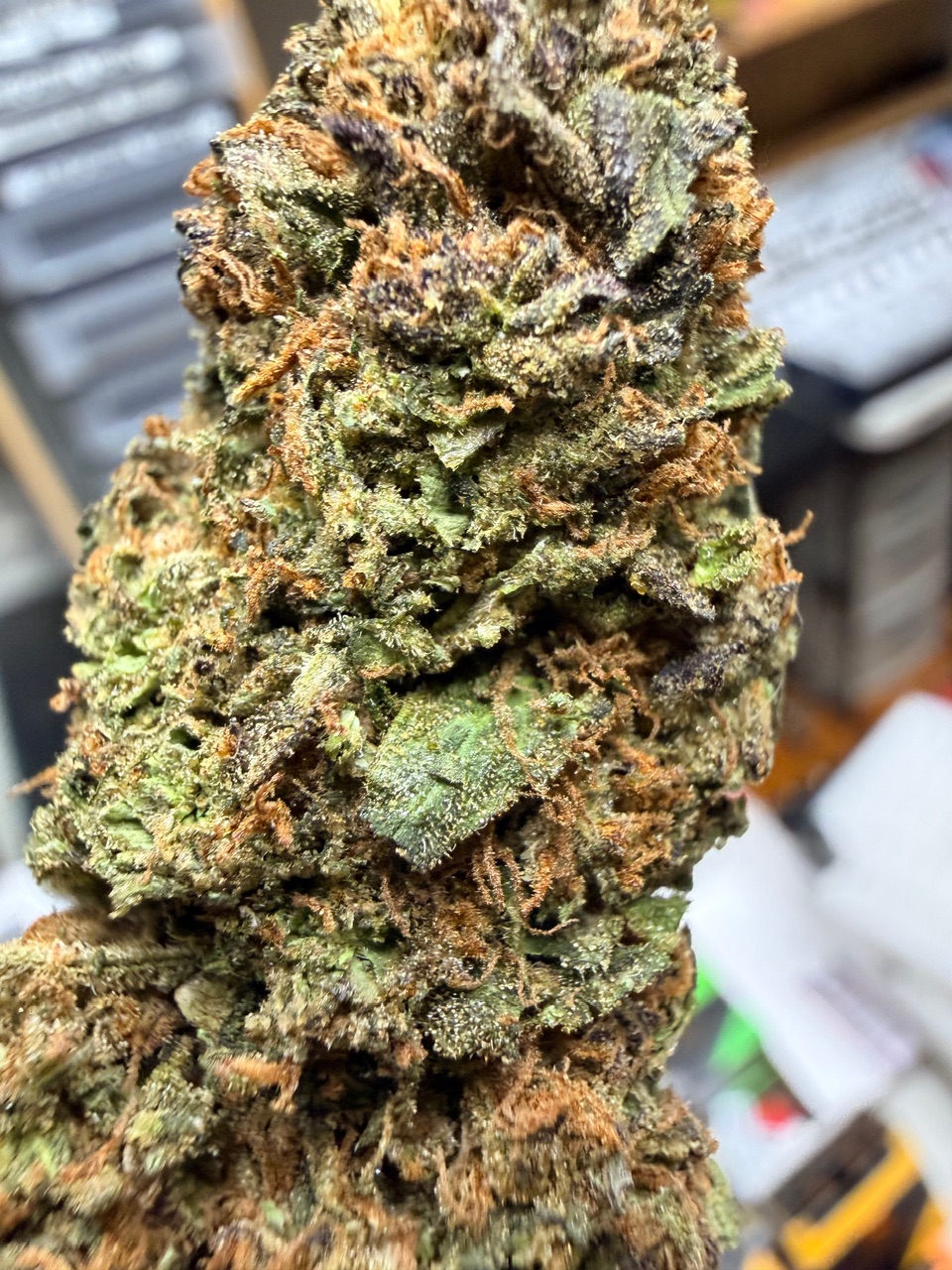 Marilyn Monroe Digital Art