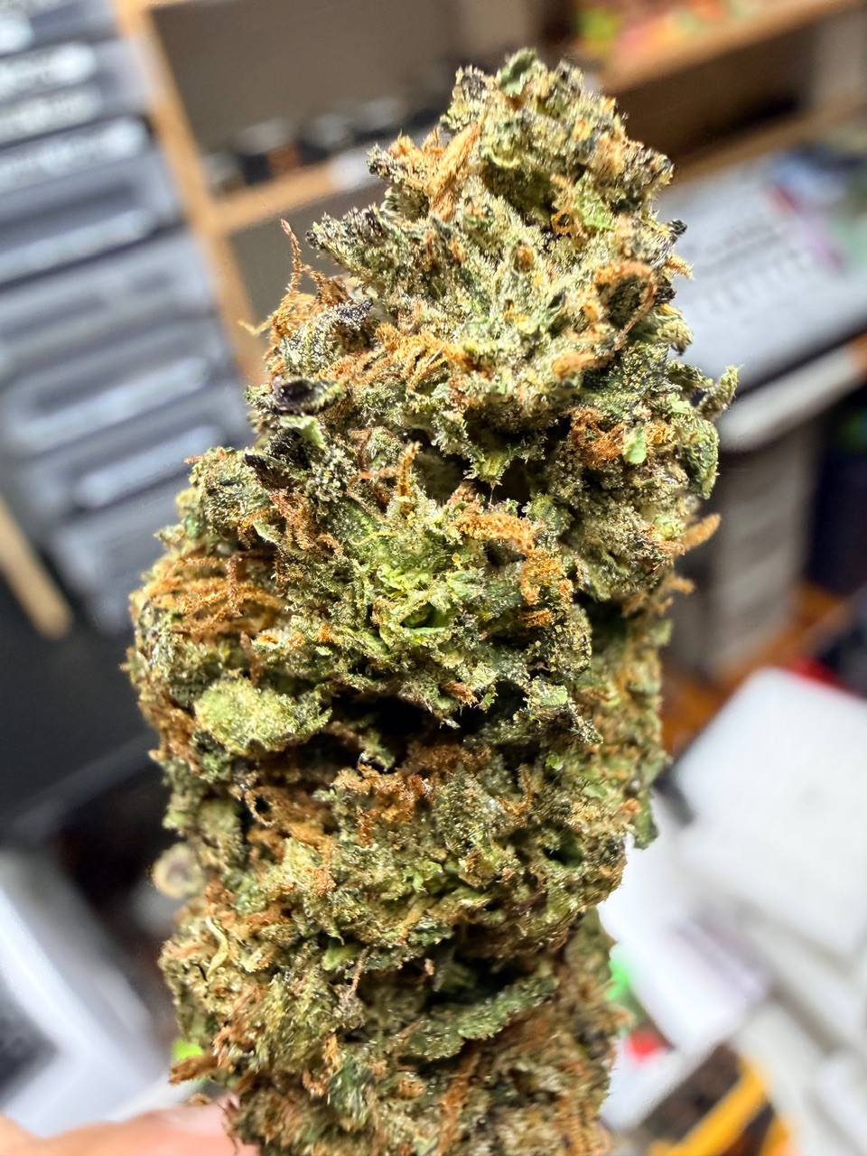 Marilyn Monroe Digital Art - Image 3