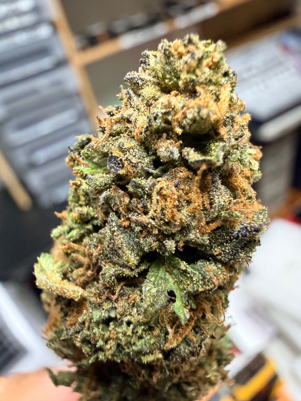 Marilyn Monroe Digital Art - Image 2