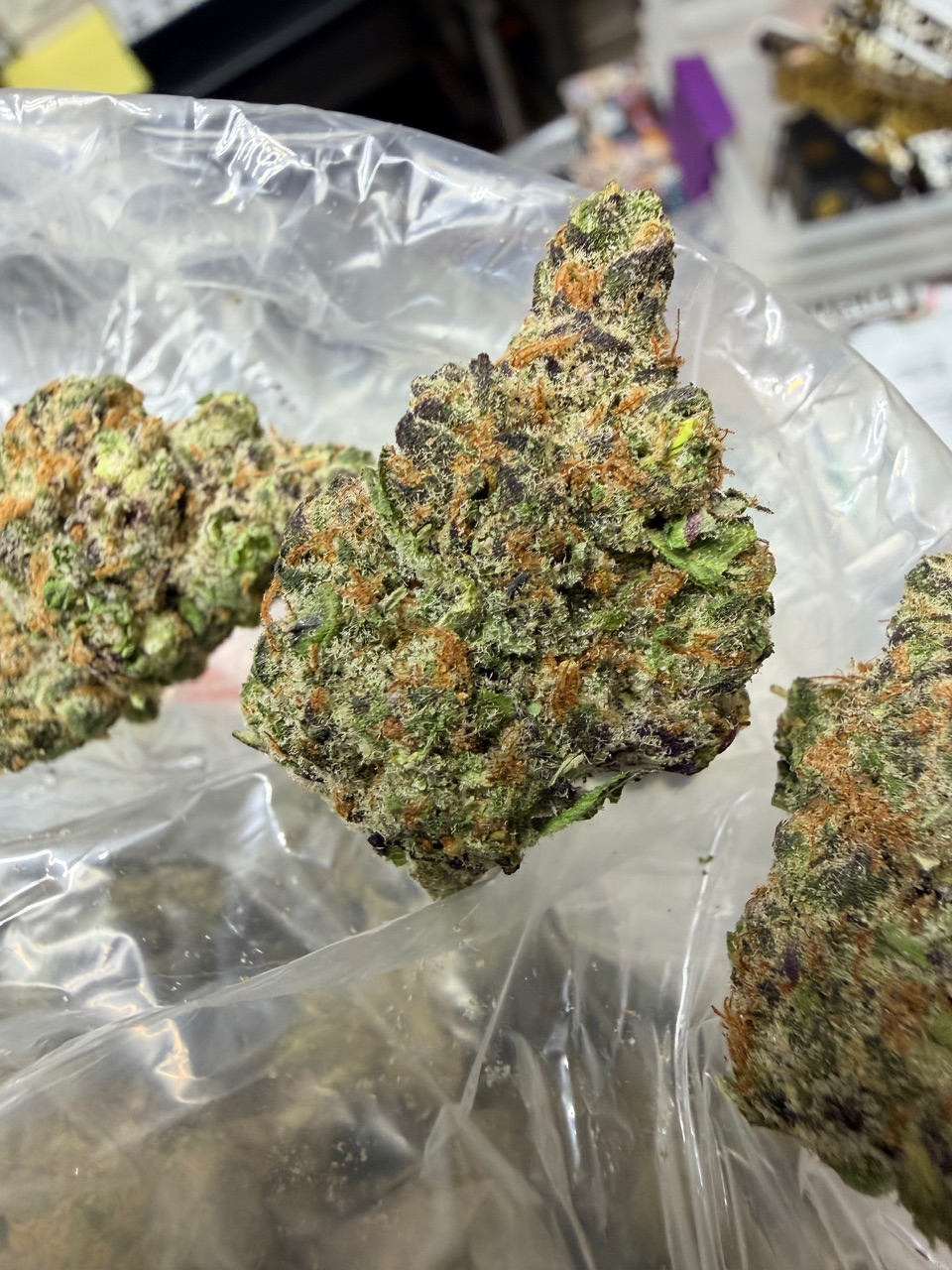 ZootieZ Digital Art - Image 3