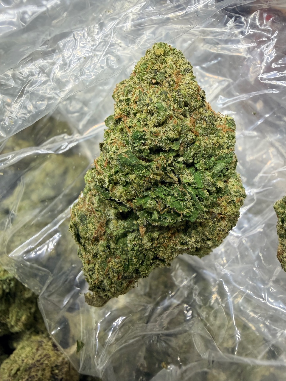 The Toad Digital Art