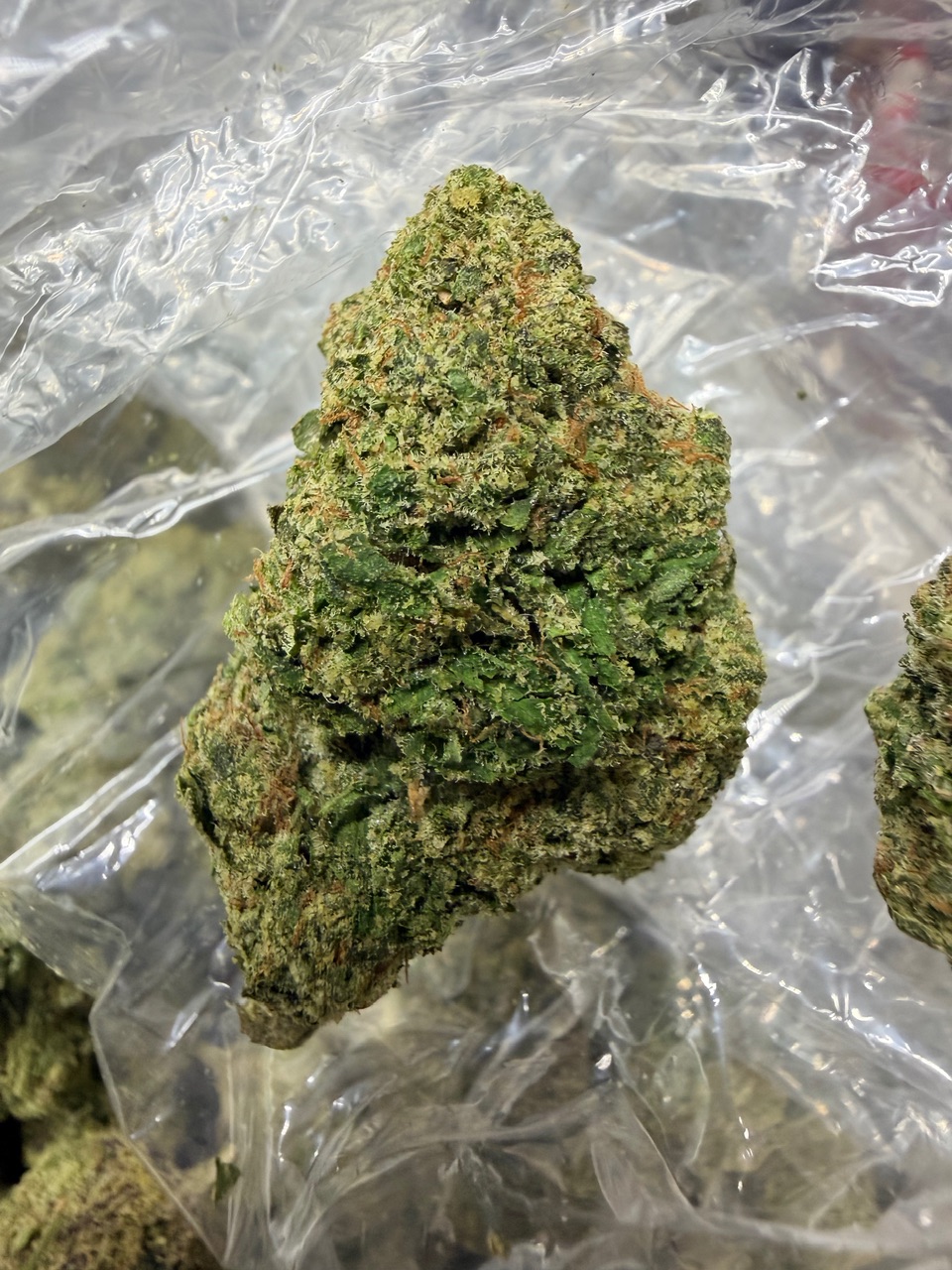 The Toad Digital Art - Image 4