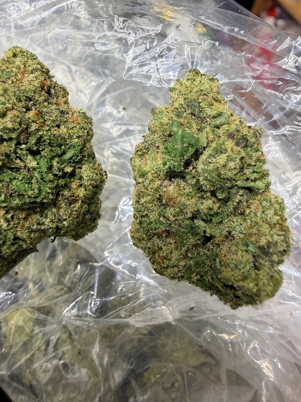 The Toad Digital Art - Image 3