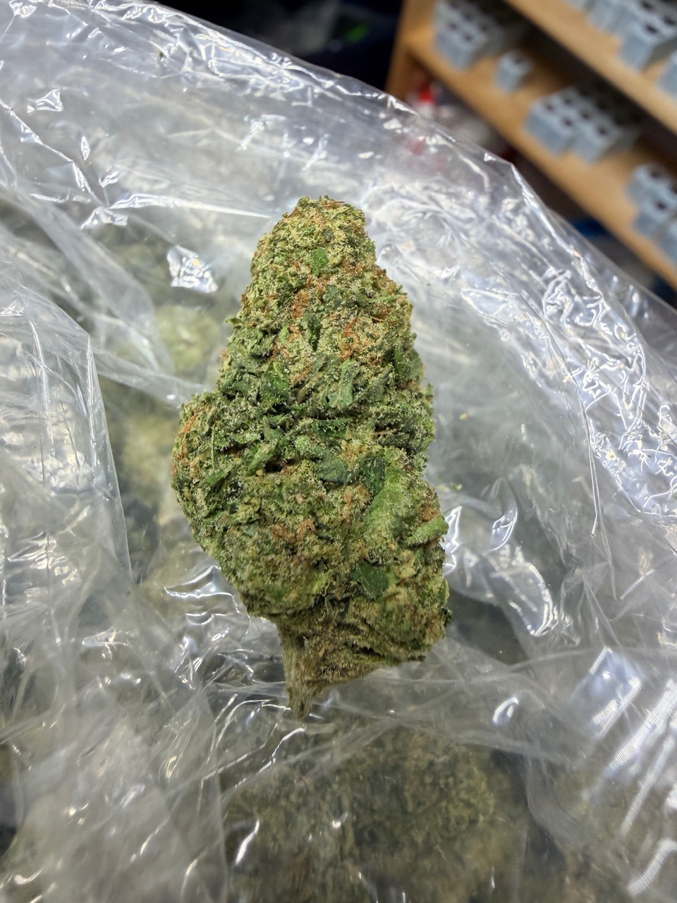 The Toad Digital Art - Image 5