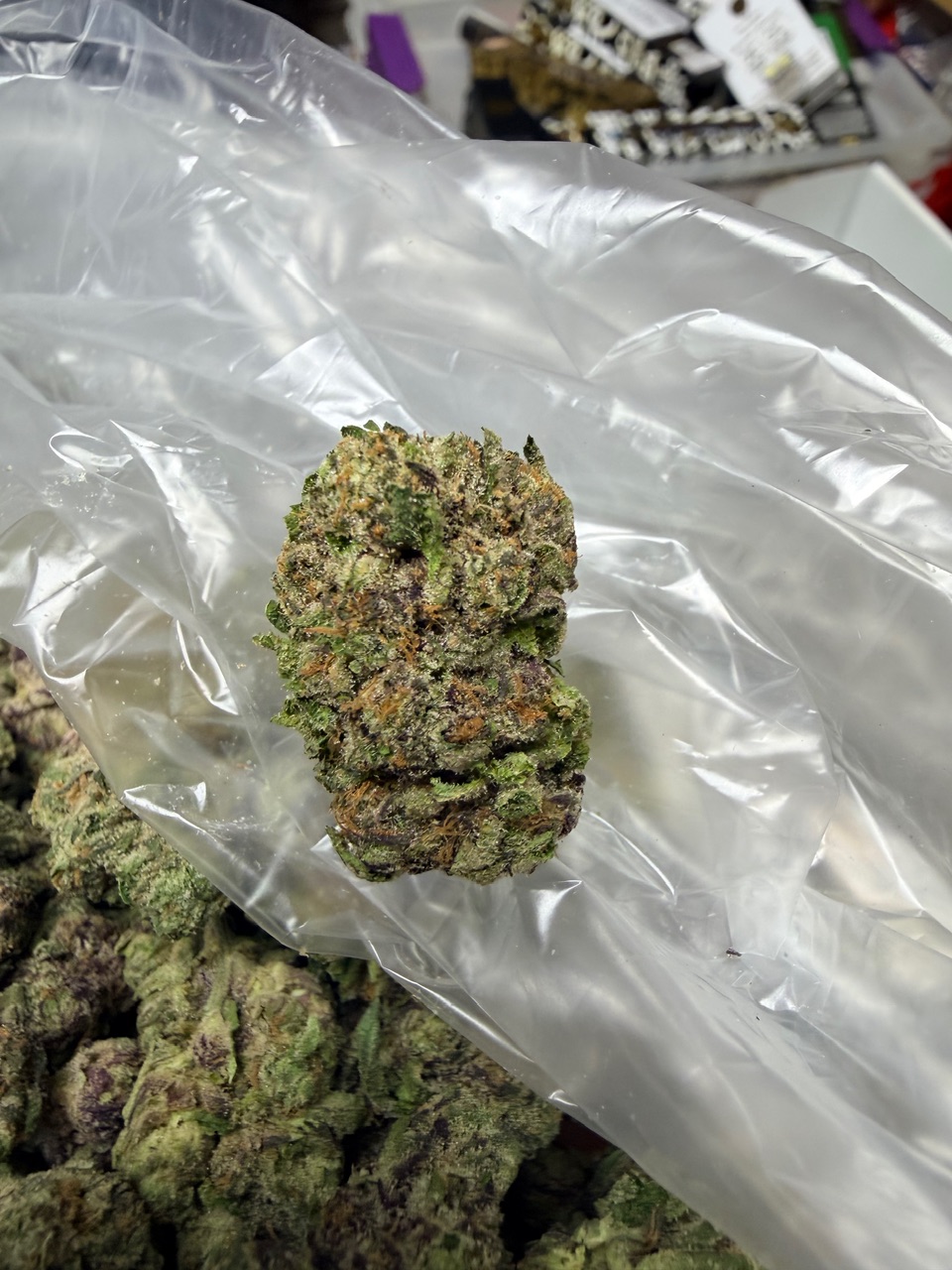 Zangria x Blue Lobster Digital Art - Image 6