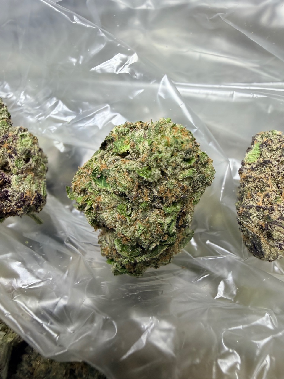 Zangria x Blue Lobster Digital Art - Image 4