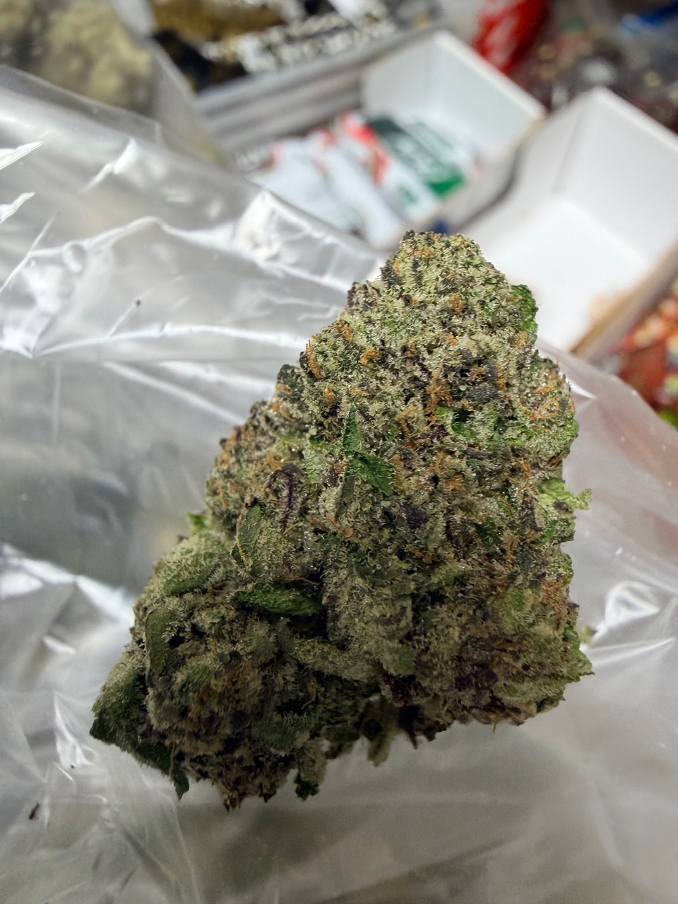 Zangria x Blue Lobster Digital Art - Image 2