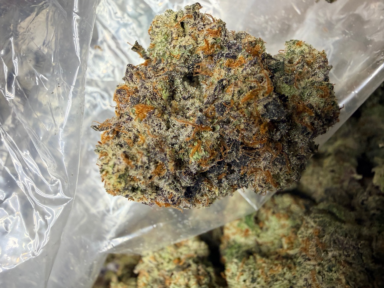 Sideshow Digital Art - Image 5