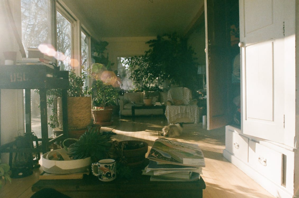 A sunlit cozy interior with lush houseplants and natural wood decor