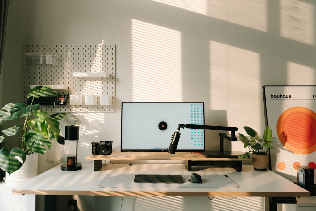 A minimalist home office setup with a computer monitor, indoor Monstera plants, wall art, and soft sunlight casting shadows across the desk surface.