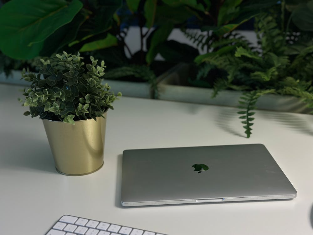 A clean white desk holding an open laptop, an external keyboard, and a leafy potted plant in a minimal indoor workspace setting.