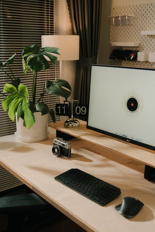 A home office desk featuring a computer monitor, a desk lamp, a Monstera plant, and a vintage camera near curtained windows.