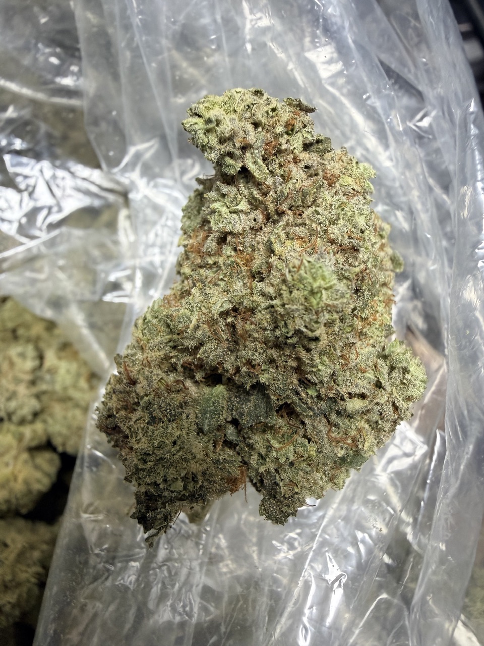 King Gorilla Digital Art - Image 4