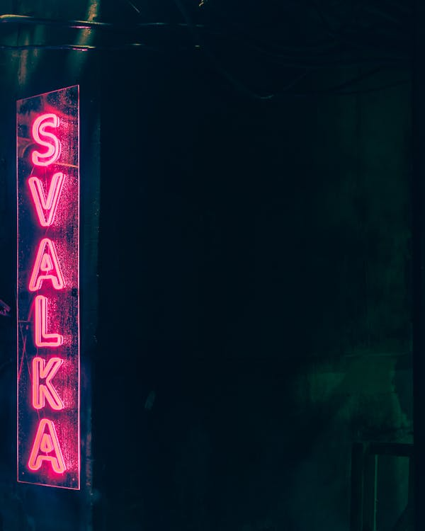  A bright pink neon sign with bold text glowing at night against an urban city backdrop.