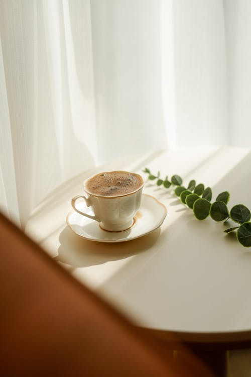  A morning coffee cup with saucer placed near a window with soft sunlight and leafy greenery in the background.