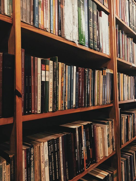 A close-up of a cozy library bookshelf filled with diverse books featuring colorful spines and curated arrangement.