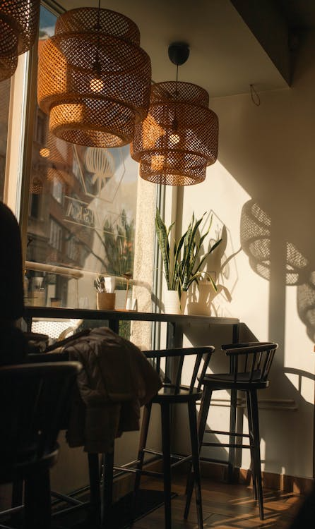 A cozy cafe interior with natural lighting, indoor plants, and ambient seating creating a niche community gathering space.