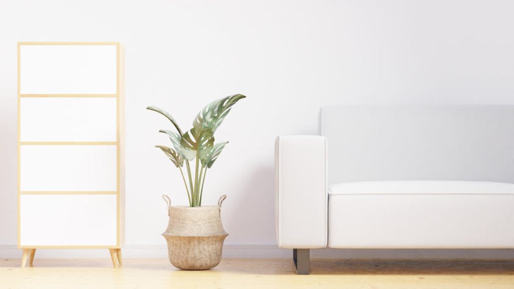 A minimalist cozy living room with white sofa, indoor plant, and wooden furniture creating curated personal identity.