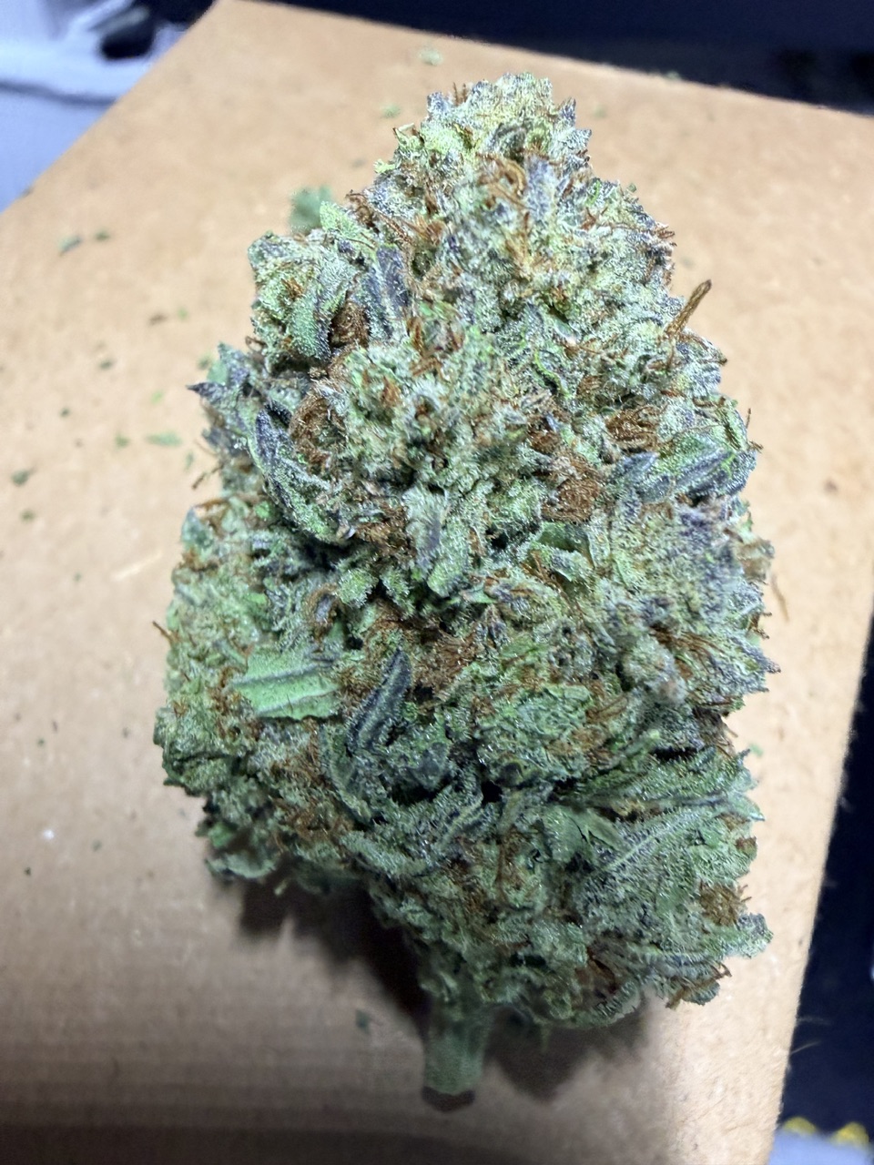 White Widow Digital Art