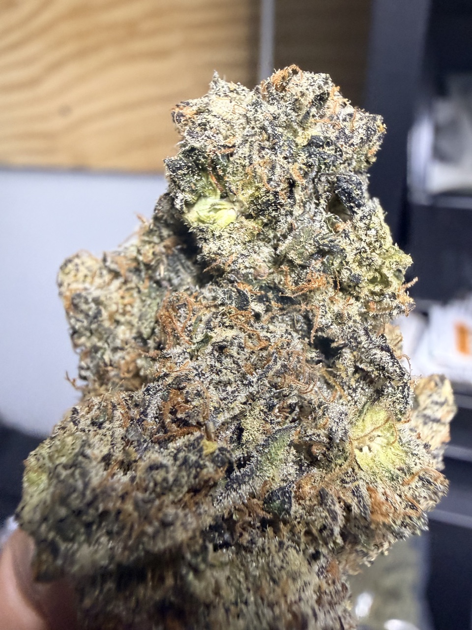 Chrome Dome by Maven Genetics Digital Art