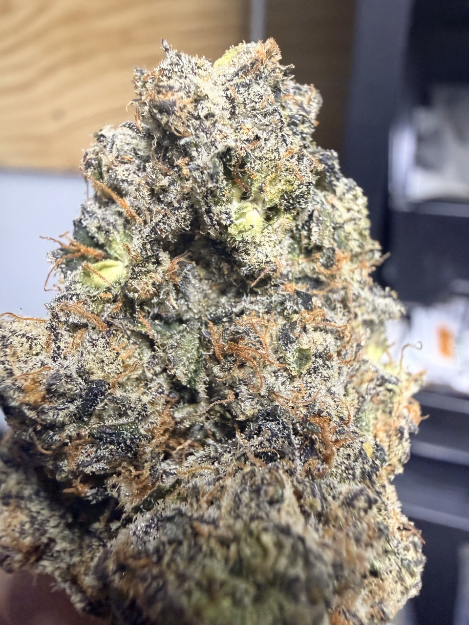 Chrome Dome by Maven Genetics Digital Art - Image 9