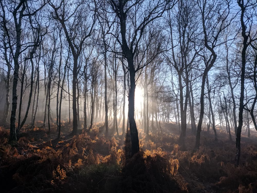 early morning light
