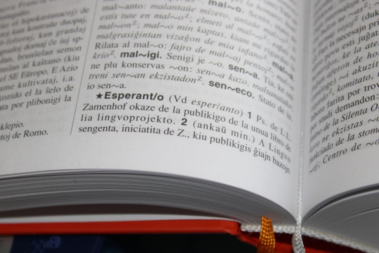 dictionary page close up