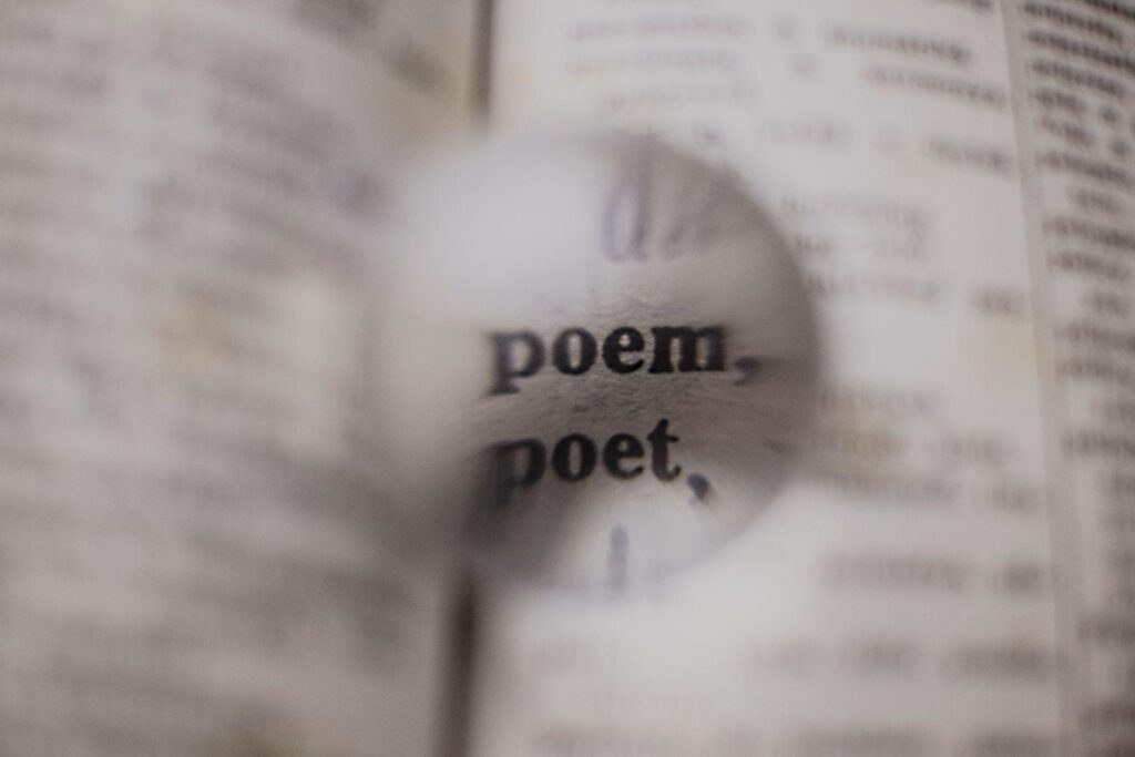  magnified dictionary page